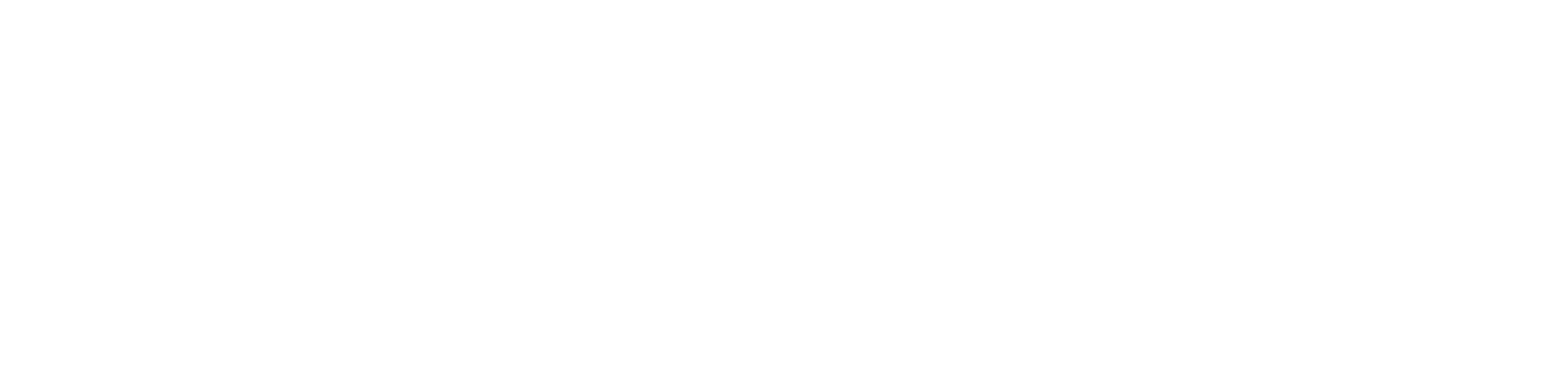 flydubai — UAE Low-Cost Carrier
